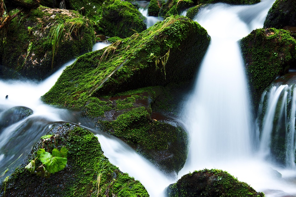 Creek, Falls, Flow, Flowing, Green, Landscape, Moss