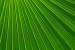 abstract, background, backgrounds