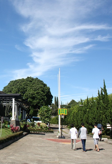 Free Walking Under photo and picture