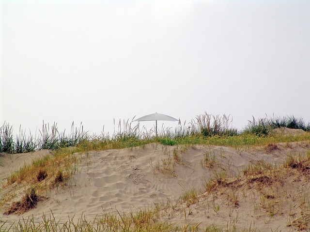 Free Silent Oertchen photo and picture