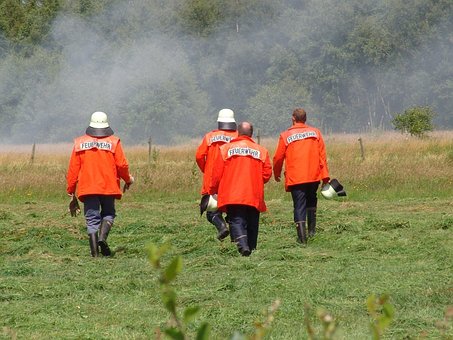автоматические гаражные ворота, шлагбаумы, …