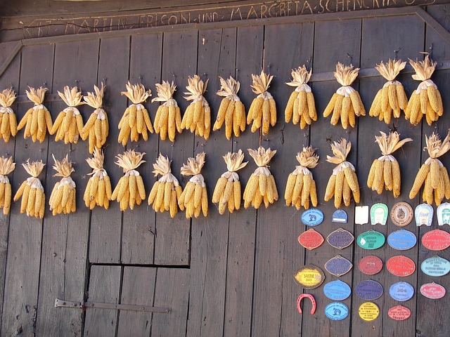 Free Corn Barn photo and picture