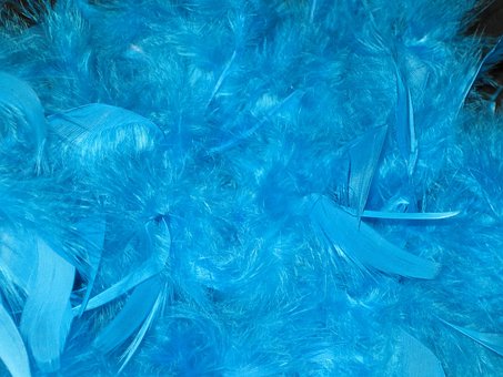20+ Free Feather Boa & Boa Photos - Pixabay