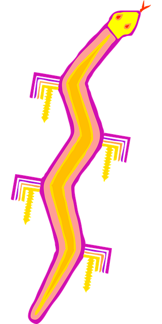 Free lizard reptile reptilian vector