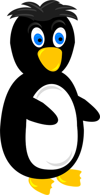 Free penguin flightless bird webbed feet vector