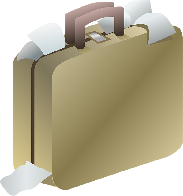 Free suitcase baggage bag vector