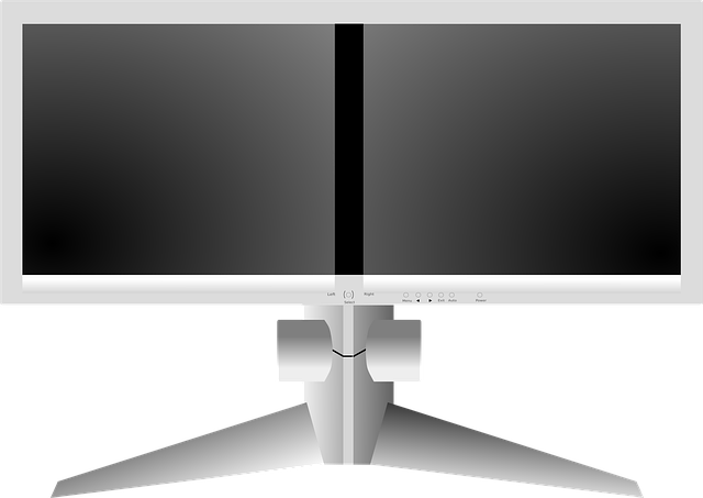Free monitor computer dual vector
