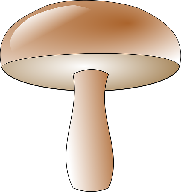 Free mushroom toadstool fungus vector