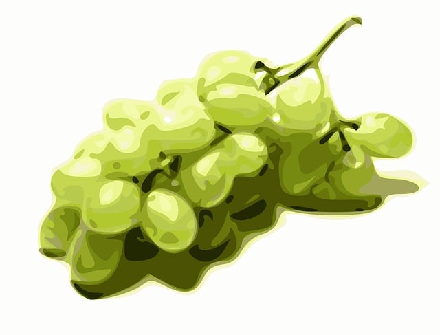 Uvas, Verde, Frutas, Videiras, Bagas