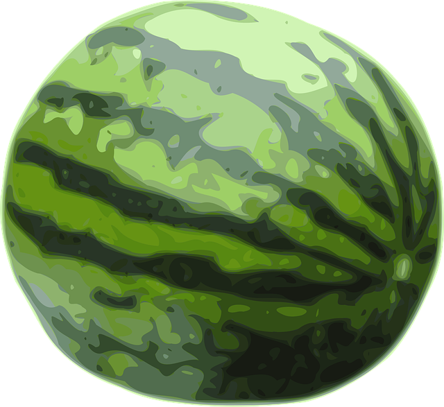 Free watermelon fruit green illustration