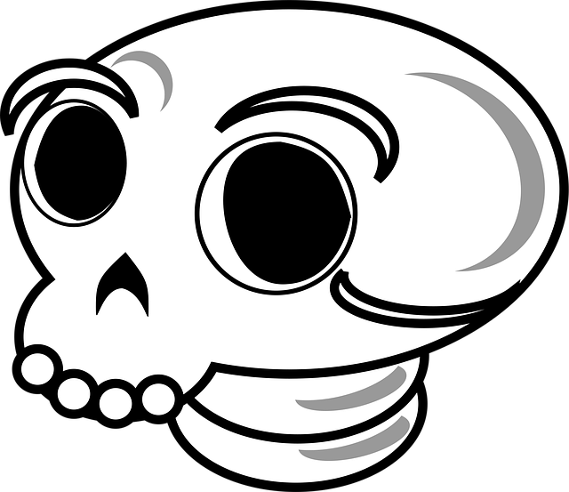 Free skull face skeleton illustration