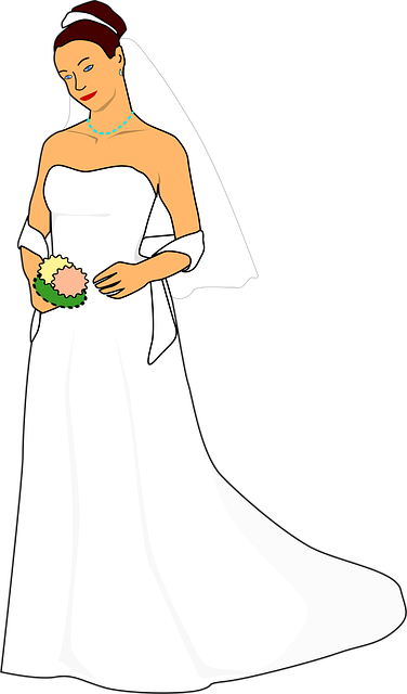 Free bride wedding dress illustration