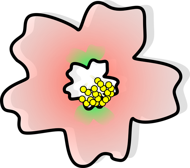 Pena, Blomst, Japansk, Blomst Tapet