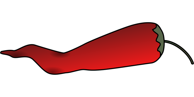 Free cayenne pepper chili vector