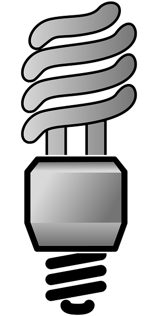 Free cfl lamp compact vector