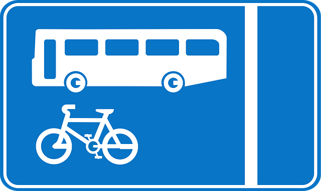 Free signs bus lane vector