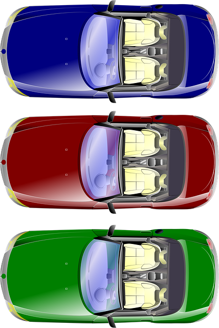 Free cars transportation road vector