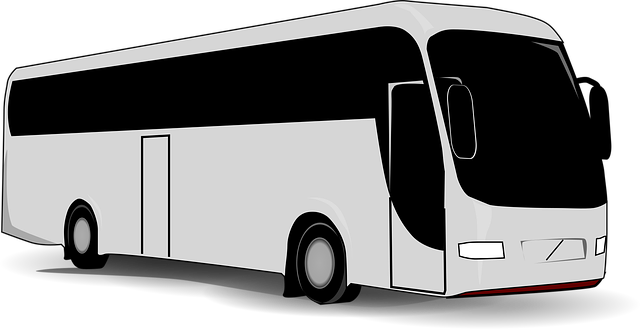 Free tourist bus vehicle vector