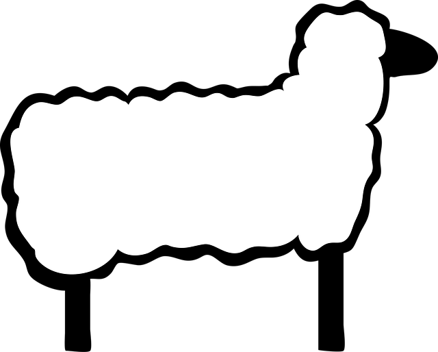 Free lamb animal wool illustration