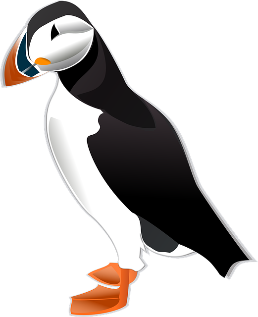 Free puffin bird nature vector