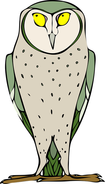 Free owl nature bird vector