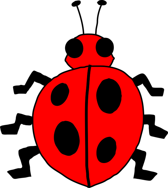 Free ladybug ladybird beetle vector