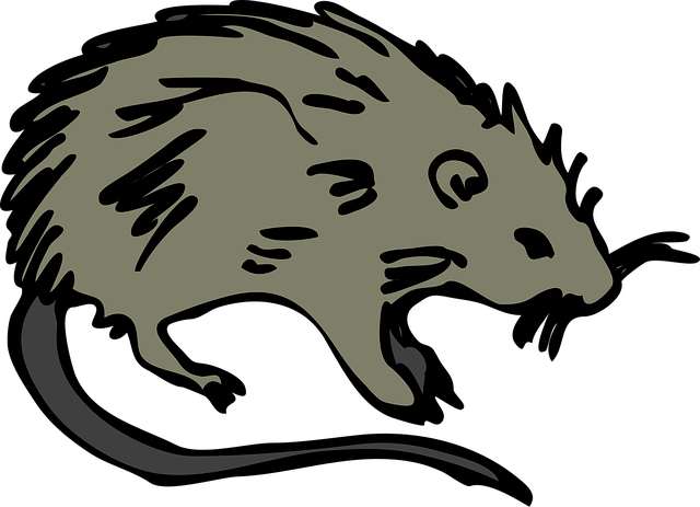 Free mouse rodent pest vector