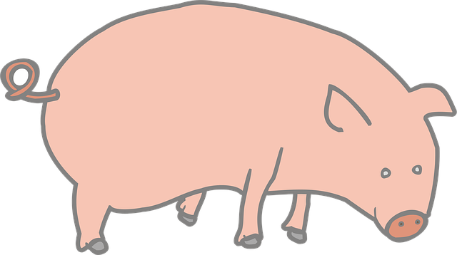 Schwein, Rosa, Bauernhof, Tier