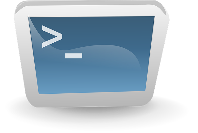 Free screen monitor terminal vector