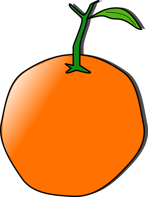 Free orange fruit tangerine vector