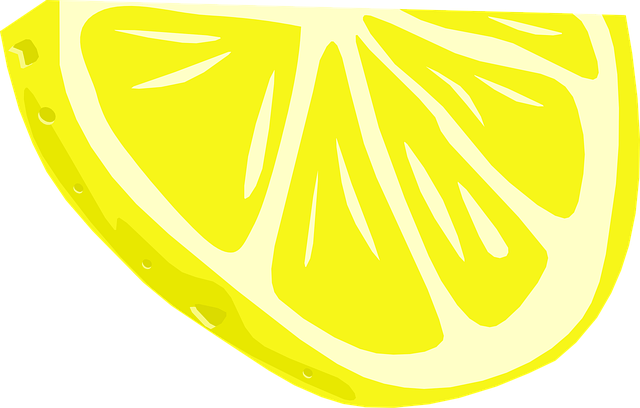 Free half slice of lemon fruit food illustration