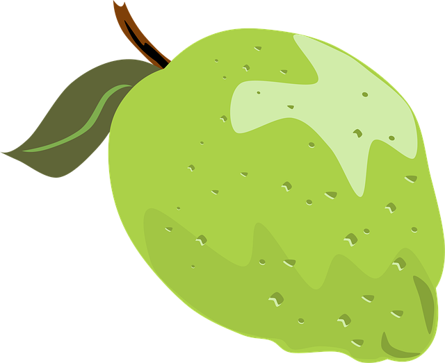 Free lime fruit whole vector