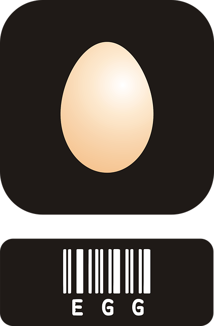 Free eggs protein choline vector