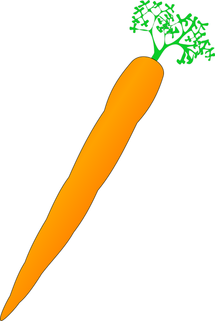 Free carrot vegetable food vector