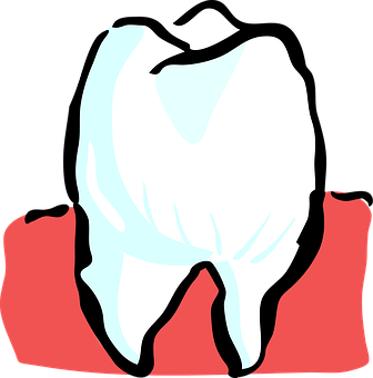 Tooth, Mouth, Dental, Dentistry, Dentist