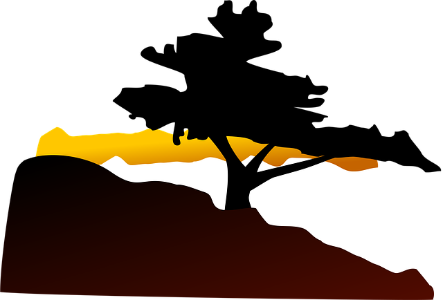 Free silhouette tree sunset illustration