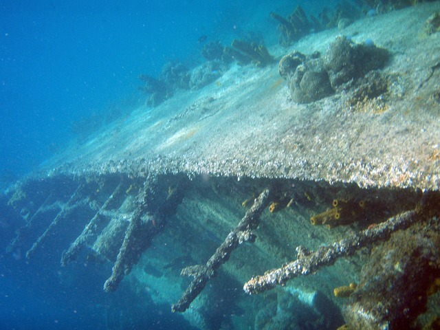 Tauchen, Unterwasser, Wrack, Aruba, Meer