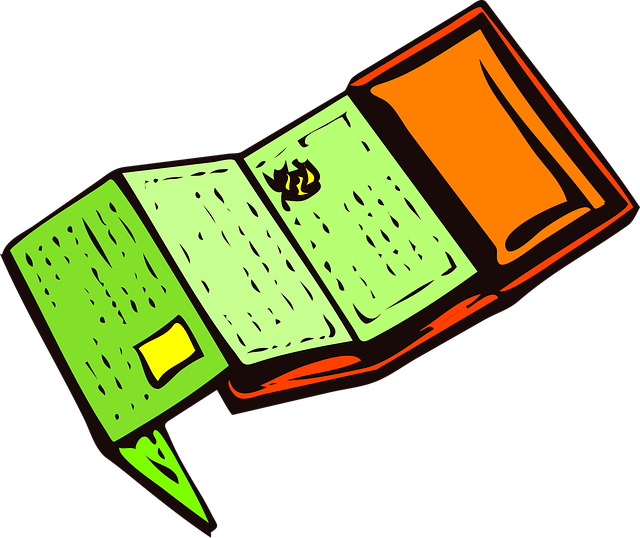 Free wallet credit cards id vector