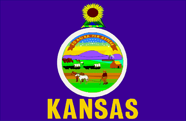 Free kansas flag usa vector