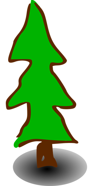 Copac, Semne, Simboluri, Natura, Conifer