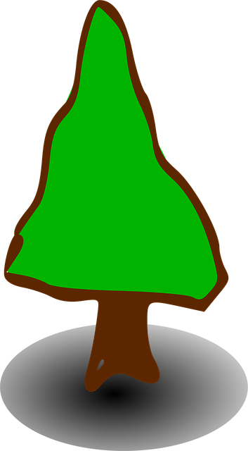 Copac, Semne, Simboluri, Natura, Conifer