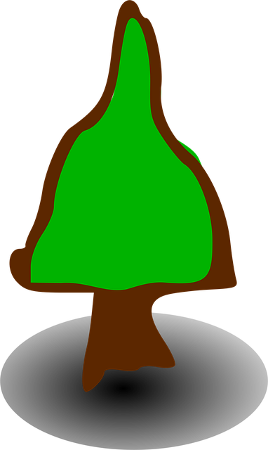 Copac, Simboluri, Natura, Semne, Conifer