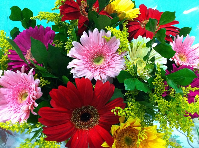 Free Flowers Spring photo and picture
