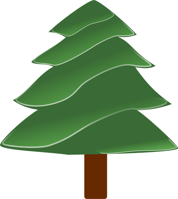 Download free HD stock image of Christmas Tree Free christmas tree plant vector