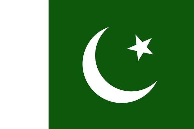 Free pakistan flag national vector
