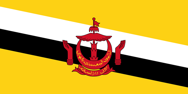Free brunei flag nation vector