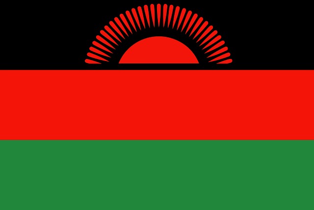 Free malawi flag nyasaland vector