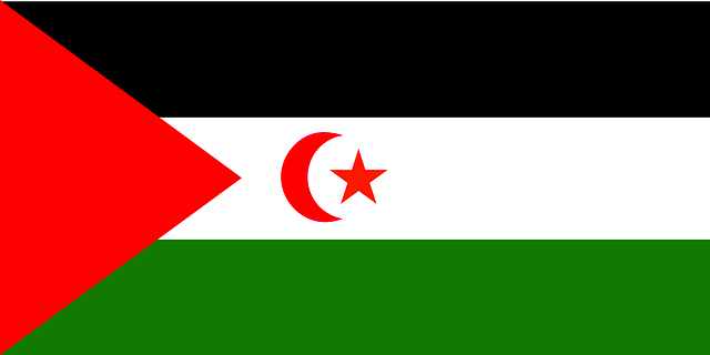 Free western flag sahara vector