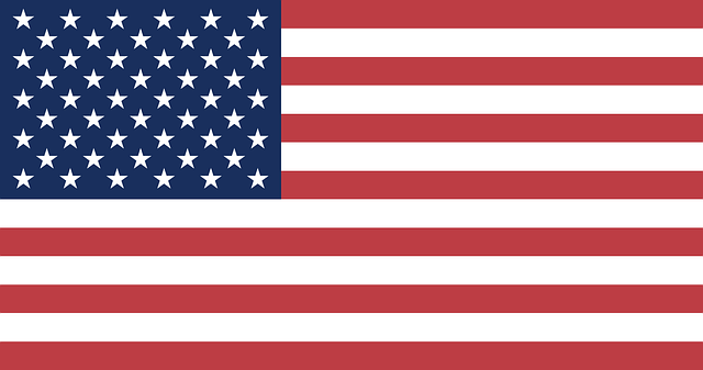 Free united flag states vector
