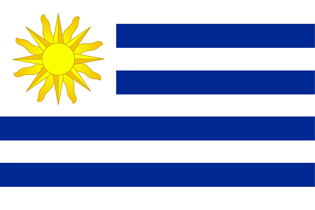 Free uruguay flag symbol illustration